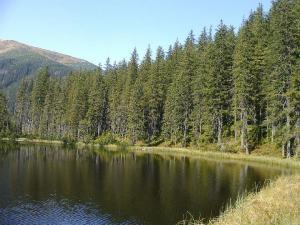 Tatry staw