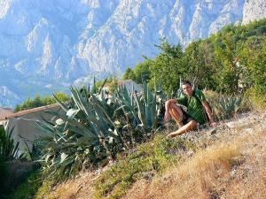 Makarska