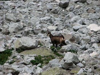 Słowackie Tatry Wysokie