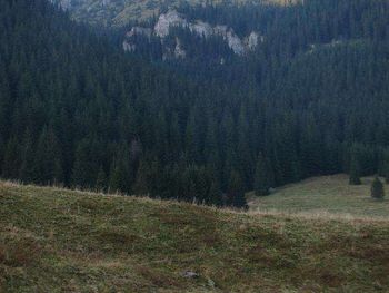 Tatry Zachodnie
