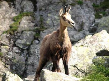 Tatry Wysokie