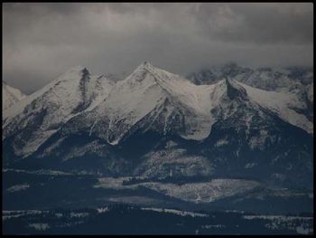Gorce