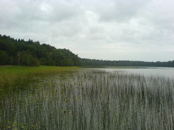 Wybrzeże Słowińskie