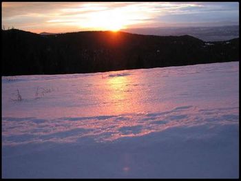 Gorce