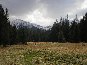 Dolina Kościeliska, zdjęcie 3 z 3