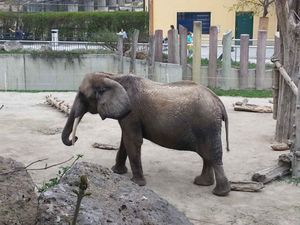 Schönbrunn, zdjęcie 2 z 3