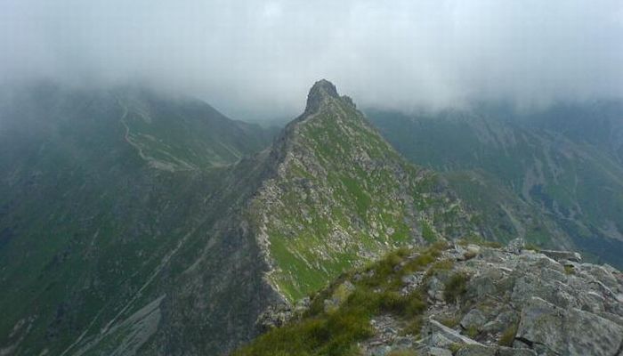Rohače